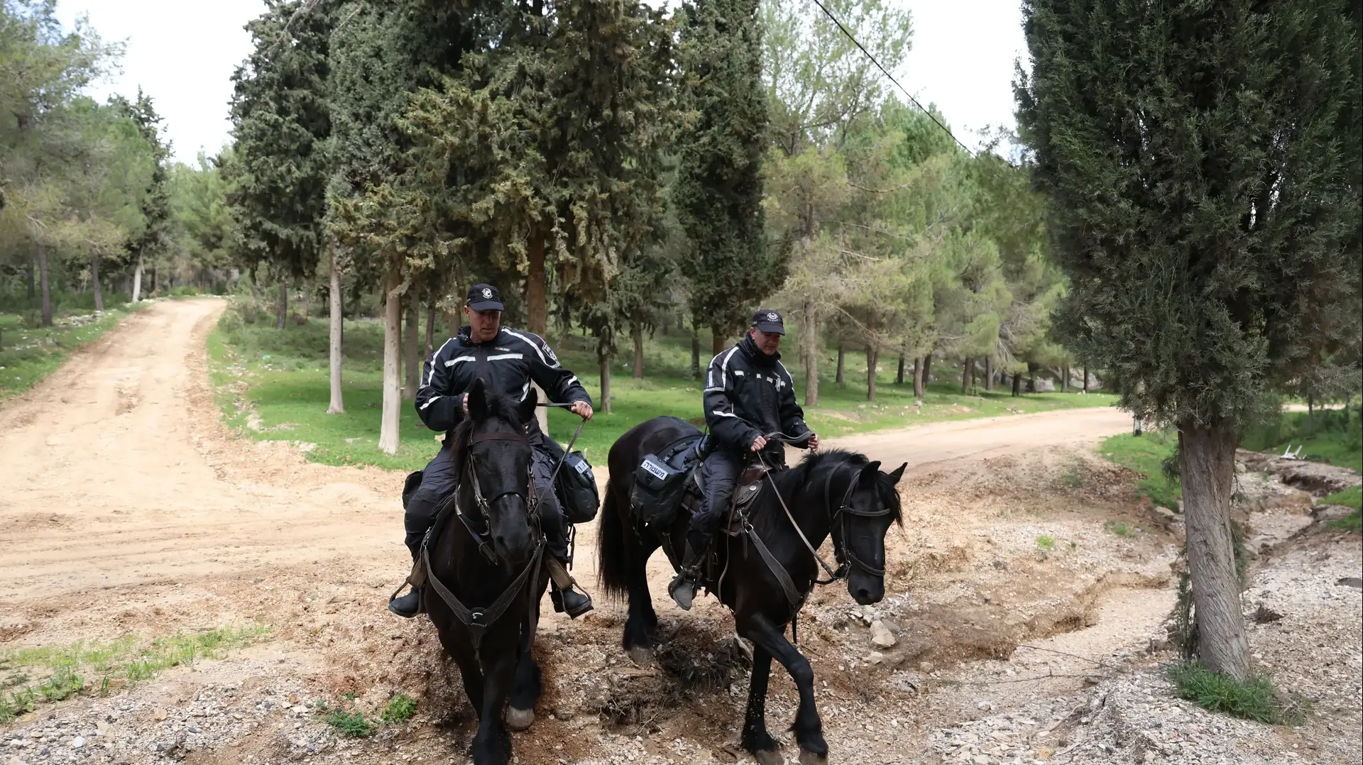 המשטרה בחיפושים אחרי הילדה הנעדרת היימנוט קסאו, צפת, 4 במרץ 2024 המשטרה בחיפושים אחרי הילדה הנעדרת היימנוט קסאו, צפת, 4 במרץ 2024