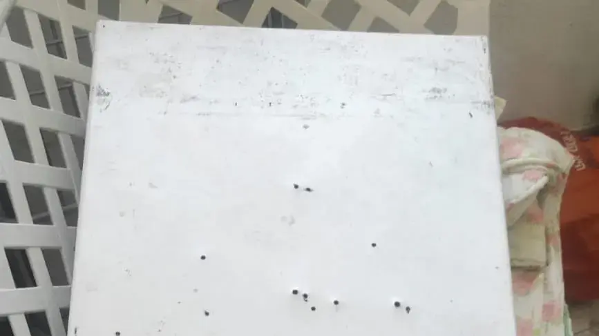 כסף מזומן שנתפס במהלך פשיטה על בתי הימורים במחוז תל אביב כסף מזומן שנתפס במהלך פשיטה על בתי הימורים במחוז תל אביב