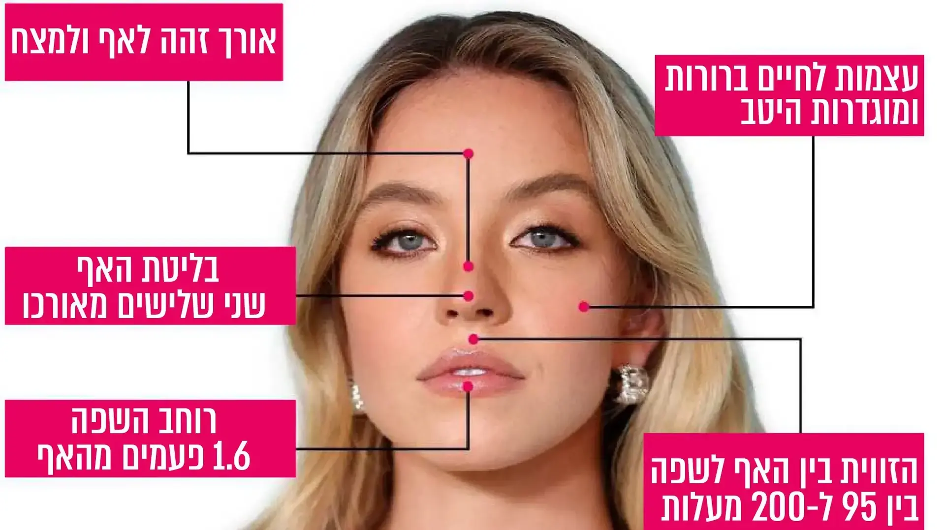 מה הופך את הפנים של סידני סוייני למושלמות? מה הופך את הפנים של סידני סוייני למושלמות?