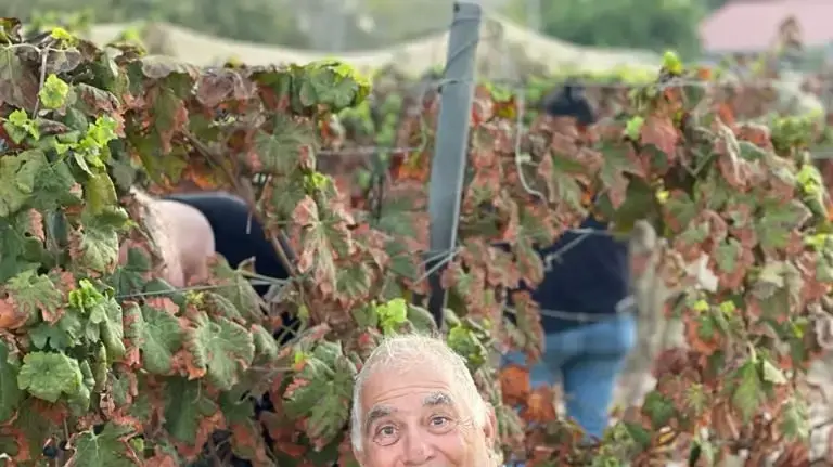 גדי מוזס, חטוף בשבי חמאס גדי מוזס, חטוף בשבי חמאס