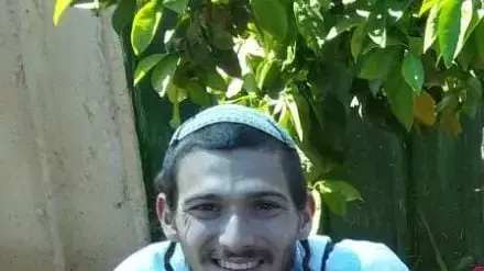 יורם הילל פליטר יורם הילל פליטר