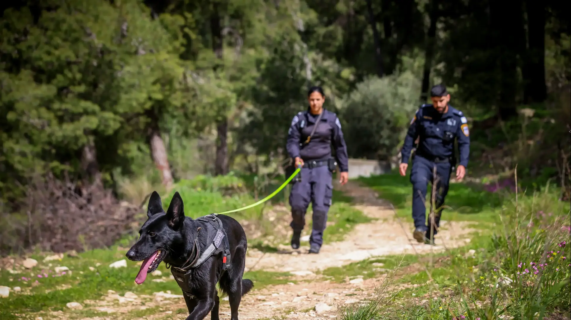 החיפושים אחר היימנוט קסאו בצפת החיפושים אחר היימנוט קסאו בצפת