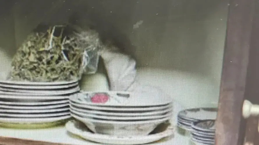 המקום שבו הוסלק אחד מכלי הנשק המקום שבו הוסלק אחד מכלי הנשק