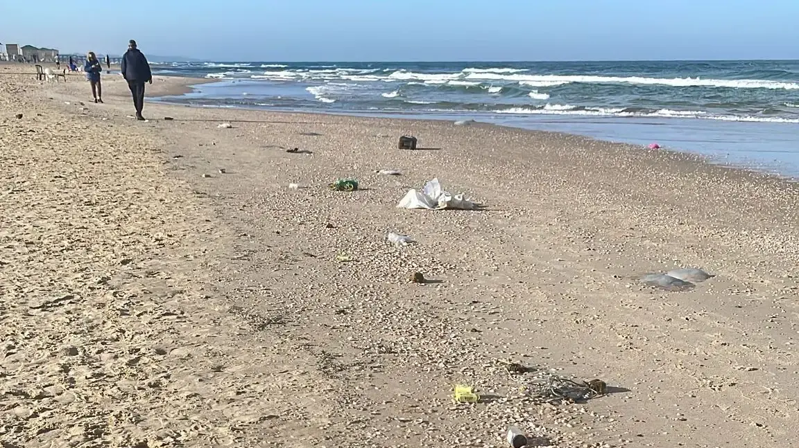 מוצרי מזון שיעודו לעזה ונמצאו בחוף בת-ים מוצרי מזון שיעודו לעזה ונמצאו בחוף בת-ים