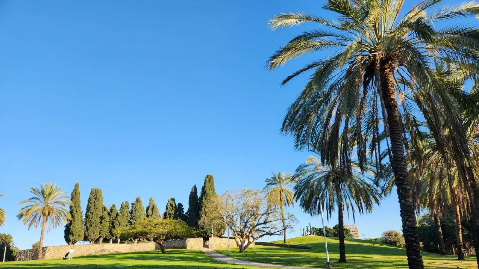 פארק פילבוקס בחולון 2.3.2024 פארק פילבוקס בחולון 2.3.2024