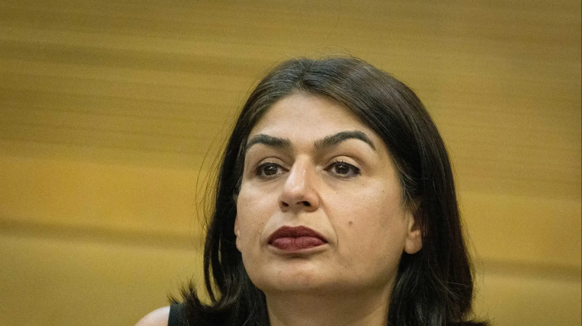 יו"ר הנהלת בצלם, אורלי נוי יו"ר הנהלת בצלם, אורלי נוי
