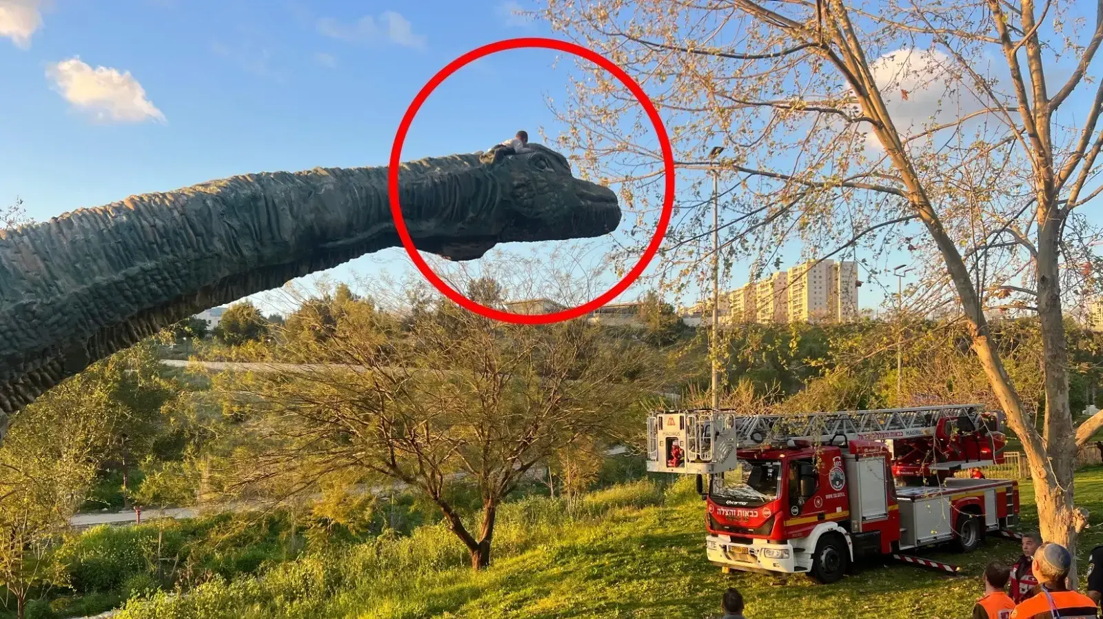 ילד בן 6 טיפס על דינוזאור, נתקע וחולץ