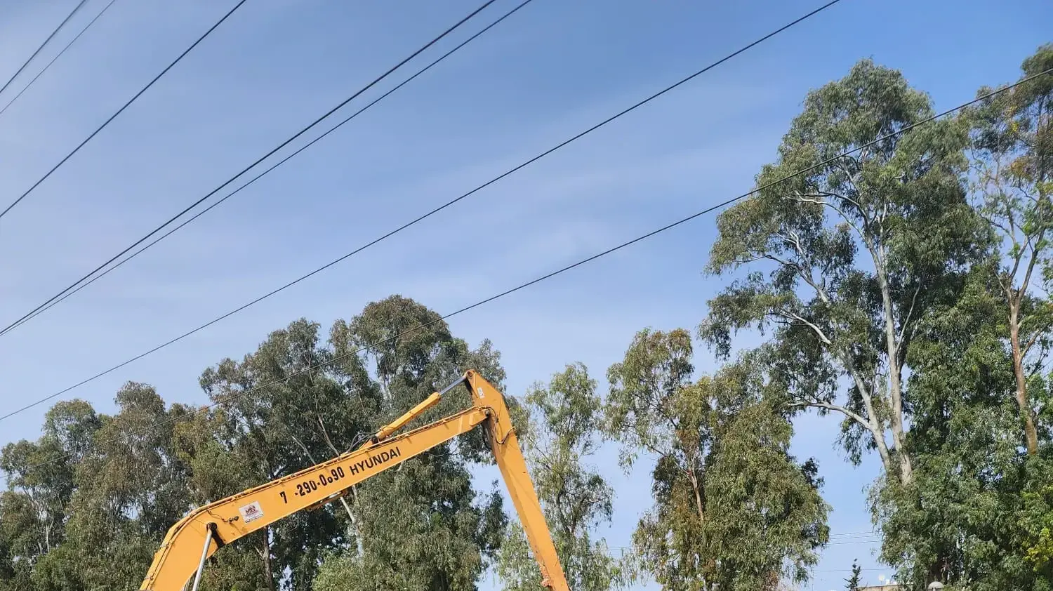 כותרת:העבודות למיגור הצמח "חסת מים", שפלש לטבע הישראלי 31 במרץ 2024 