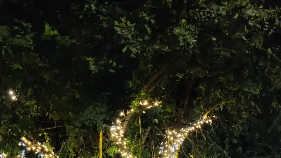 מתנדבים מתנועת התאוררות תלו סרטים צהובים ברחבי הארץ למען החזרת החטופים, 31 במרץ 2024 מתנדבים מתנועת התאוררות תלו סרטים צהובים ברחבי הארץ למען החזרת החטופים, 31 במרץ 2024