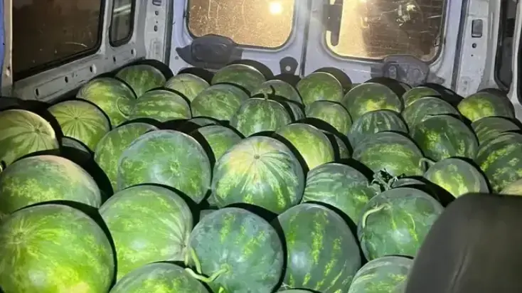 שני טונות אביטיחים שנגנבו מקיבוץ אלמוג