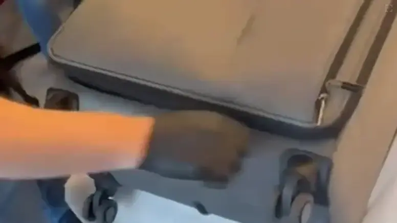 22 ק"ג של סמים שמצאה המשטרה במבצע בשיתוף פעולה עם משטרת צ'כיה 22 ק"ג של סמים שמצאה המשטרה במבצע בשיתוף פעולה עם משטרת צ'כיה