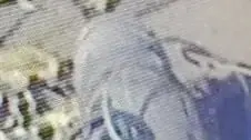 מטען חבלה הונח מחוץ לביתו של ויקי עזרא, הבעלים של לחם חביתה. 09 באפריל 2024 מטען חבלה הונח מחוץ לביתו של ויקי עזרא, הבעלים של לחם חביתה. 09 באפריל 2024