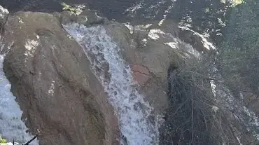 גילה יעקבי גורביץ ממושב שדה אליעזר גילה יעקבי גורביץ ממושב שדה אליעזר
