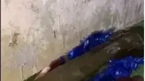 פעולת כוחות המשטרה בה אותר אמל"ח בגן ילדים18 באפריל 2024 פעולת כוחות המשטרה בה אותר אמל"ח בגן ילדים18 באפריל 2024