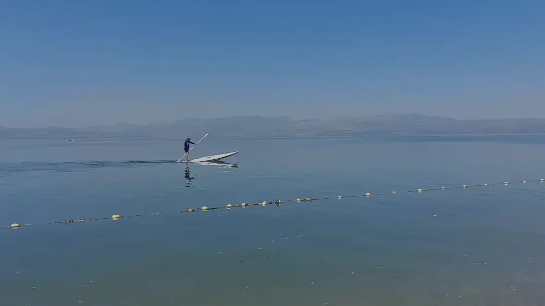 הכינרת