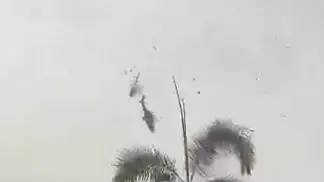 שני מסוקים התנגשו במלזיה, 10 אנשים נהרגו, 23 באפריל 2024
