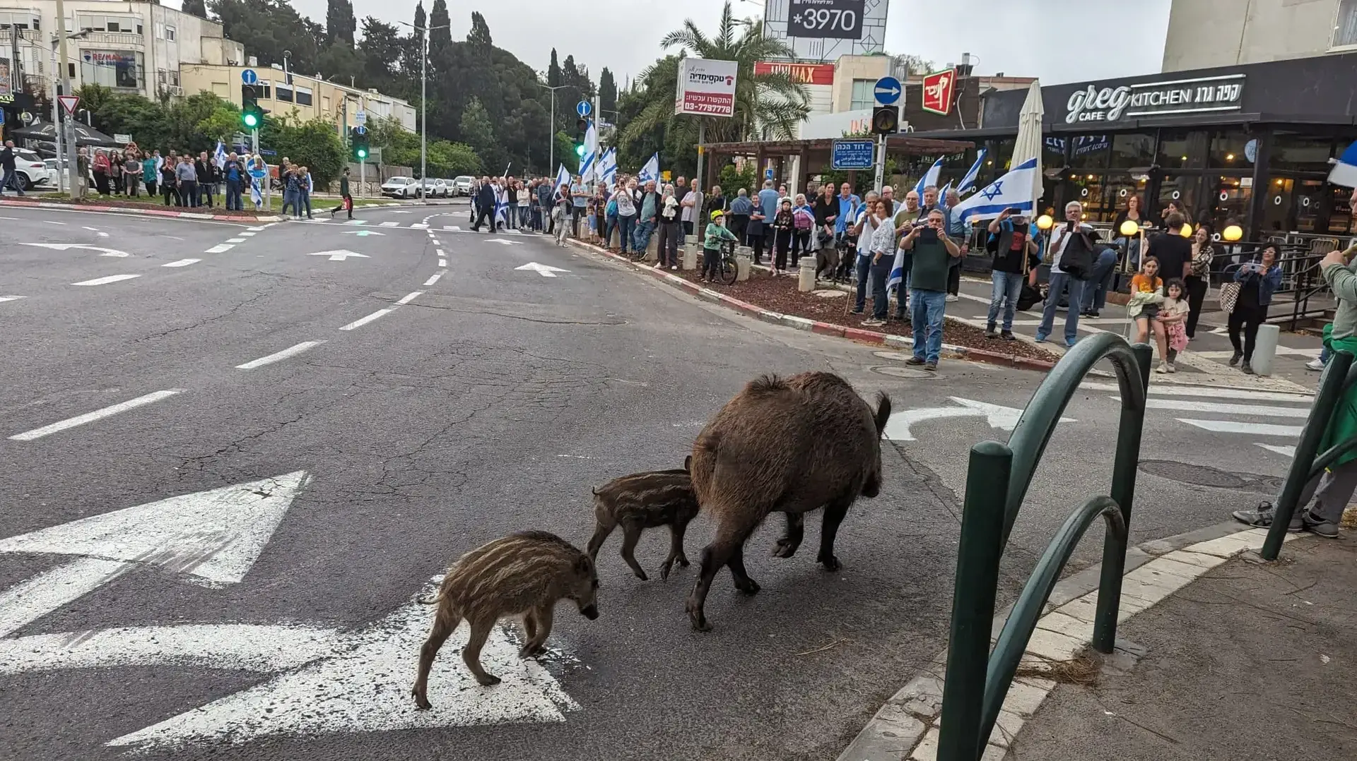 תחילת הצעדה לפני ההפגנה בחיפה, 27 באפריל 2024 תחילת הצעדה לפני ההפגנה בחיפה, 27 באפריל 2024
