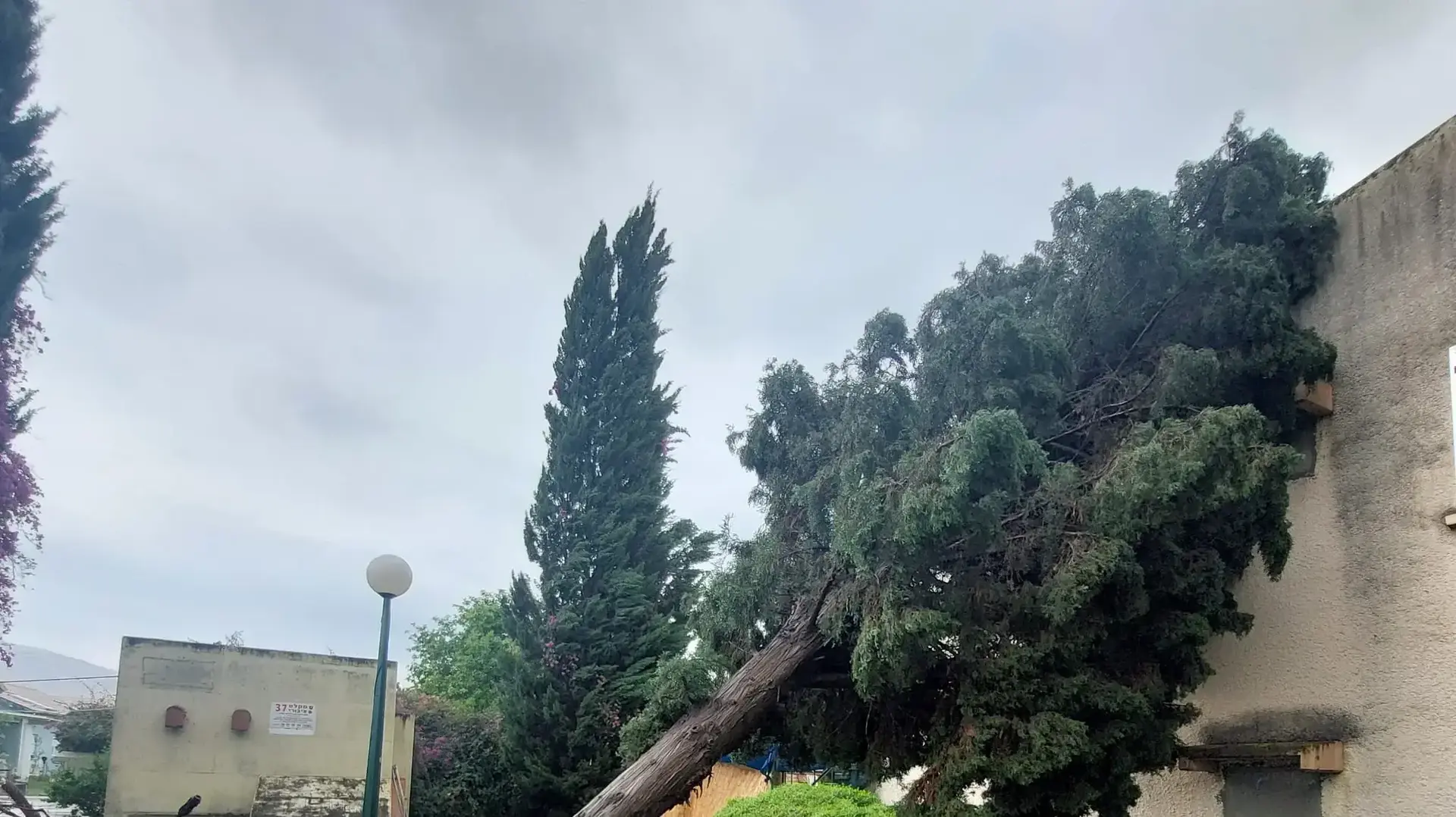 מנזקי הסופה שעברה על פני קיבוץ שער הגולן שבעמק הירדן מנזקי הסופה שעברה על פני קיבוץ שער הגולן שבעמק הירדן