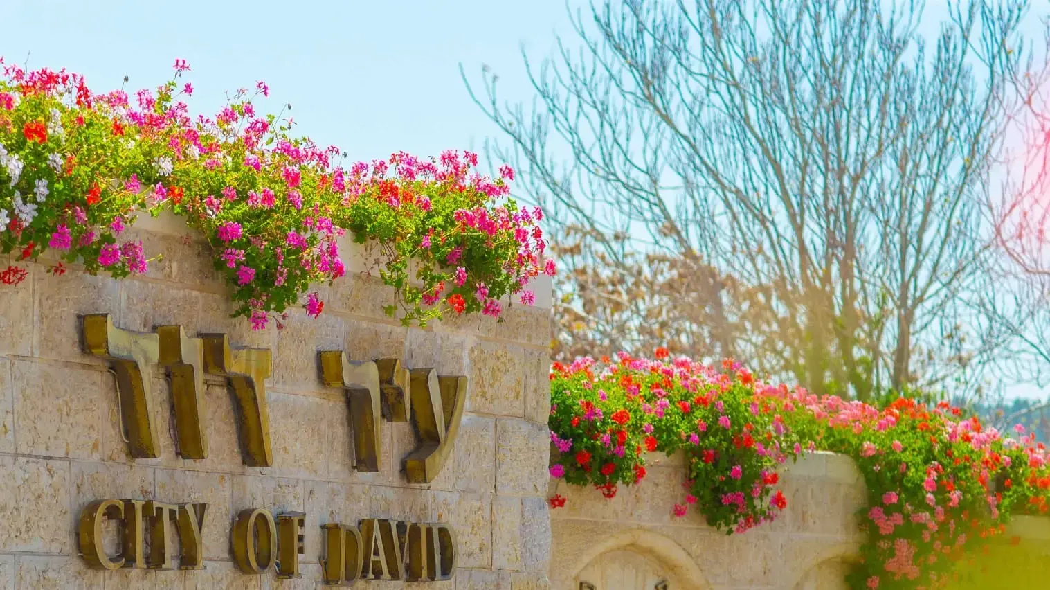 גן לאומי עיר דוד