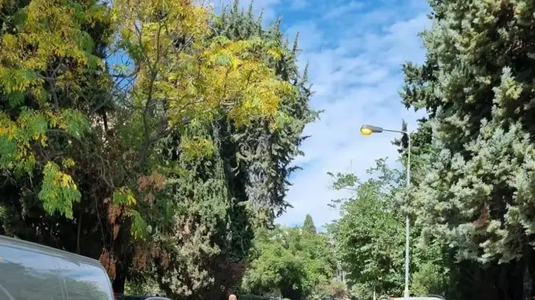 האמבולנס משיירת נתניהו מחוץ לבית של פאליק בירושלים האמבולנס משיירת נתניהו מחוץ לבית של פאליק בירושלים
