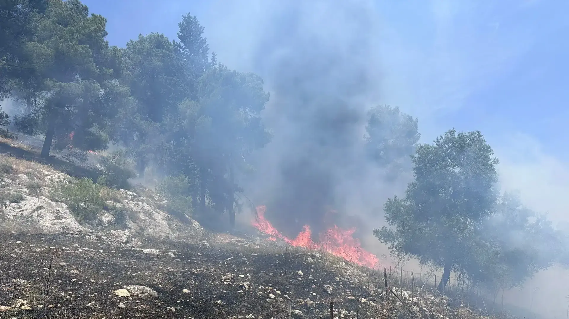 שריפה במורדות יער ביריה סמוך לחצור הגלילית, 10 במאי 2024 שריפה במורדות יער ביריה סמוך לחצור הגלילית, 10 במאי 2024