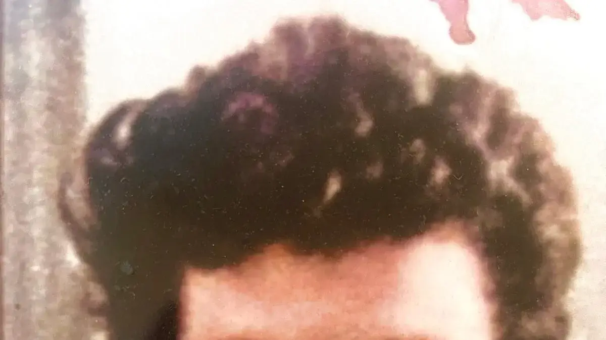 אבידע שור אבידע שור