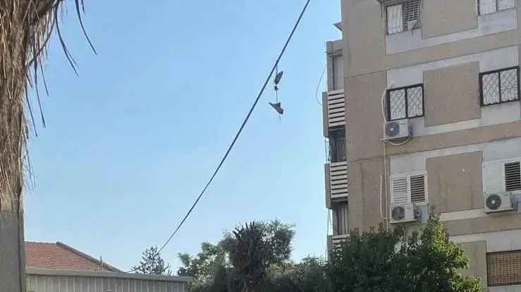 אירוע התנדבות מרגש התקיים בעיר לוד במהלכו בני משפחתו וחבריו מהצוות של רס"ן איליי לוי שנפל בלחימה בעזה שיפצו וניקו שכונה בעיר יחד עם תושביה בליווי עמותת "עושים שכונה". אירוע התנדבות מרגש התקיים בעיר לוד במהלכו בני משפחתו וחבריו מהצוות של רס"ן איליי לוי שנפל בלחימה בעזה שיפצו וניקו שכונה בעיר יחד עם תושביה בליווי עמותת "עושים שכונה".