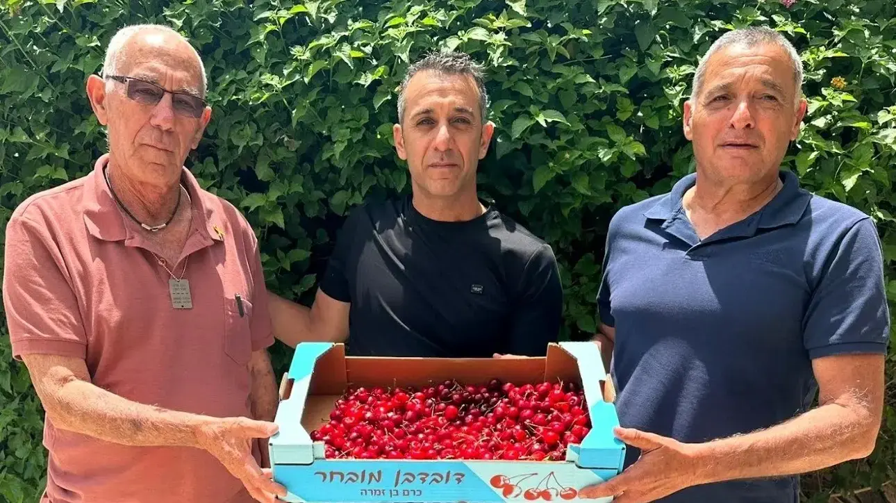 ירון בלחסן מנכ"ל ארגון מגדלי הפירות בישראל, יוני דמרי מנהל אגף המשק החקלאי בתנועת המושבים ומוטי צמיר יו"ר מועצת ארגון מגדלי הפירות - בדיון החירום
