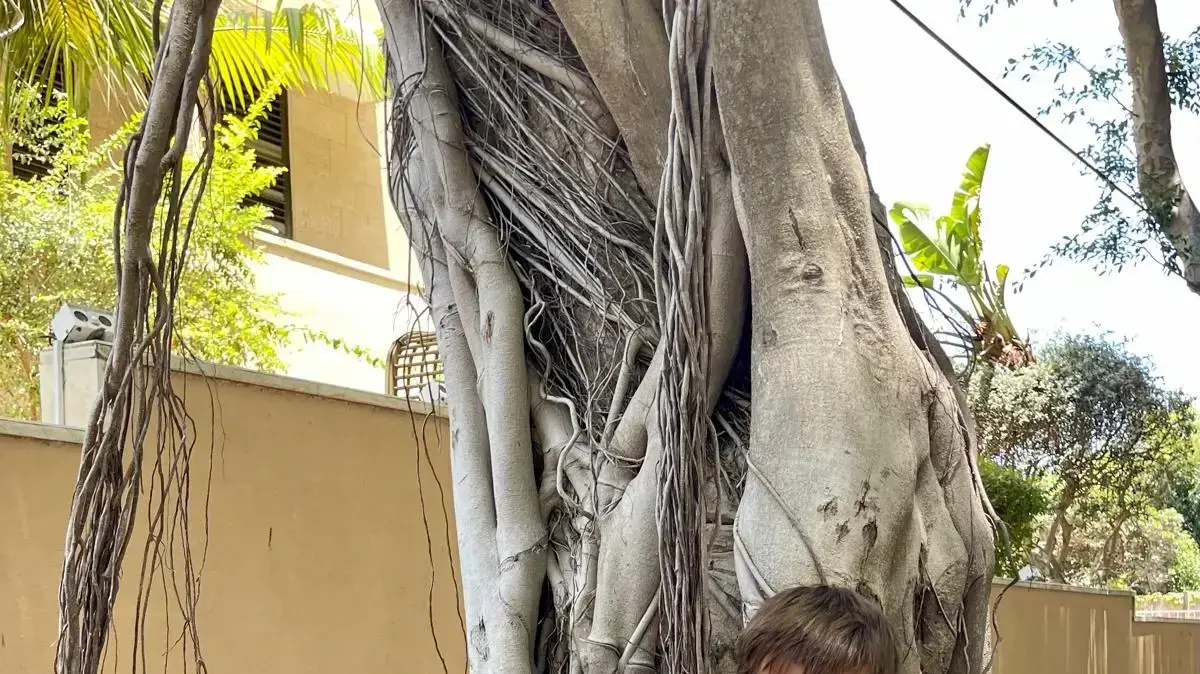 נתן המועמד לגירוש נתן המועמד לגירוש