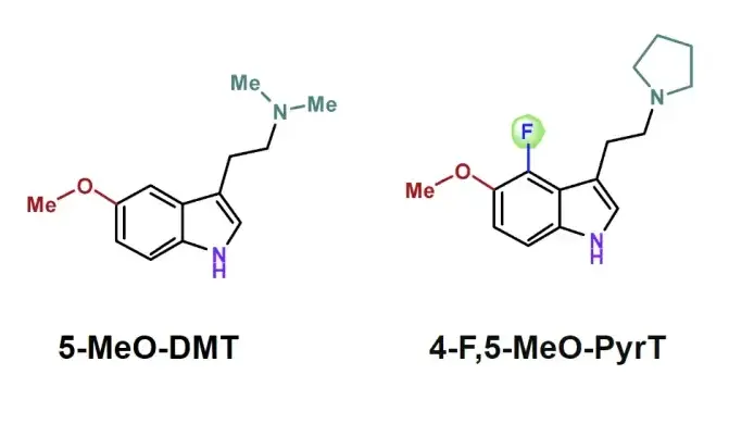 משמאל המולקולה הטבעית 5MeO-DMT המפעילה באותה מידה את שני הקולטנים 5HT1A ו-5HT2A, ומימין המולקולה המהונדסת 4F,5-MeO-PyrT, אשר נקשרת בעיקר אל 1A ומפעילה אותו משמאל המולקולה הטבעית 5MeO-DMT המפעילה באותה מידה את שני הקולטנים 5HT1A ו-5HT2A, ומימין המולקולה המהונדסת 4F,5-MeO-PyrT, אשר נקשרת בעיקר אל 1A ומפעילה אותו