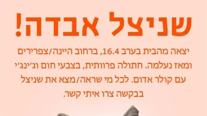 נעדר: שניצל של גאולה נעדר: שניצל של גאולה