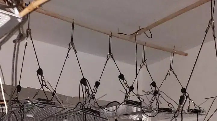 עובד עיריית נהירה גידל שתילי קנאביס בדירתו