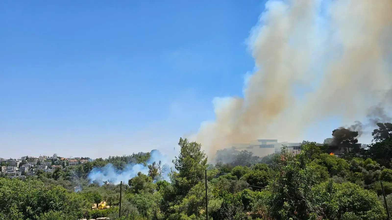 שריפה חורש וצמחייה בעמק המצלבה, ירושלים שריפה חורש וצמחייה בעמק המצלבה, ירושלים