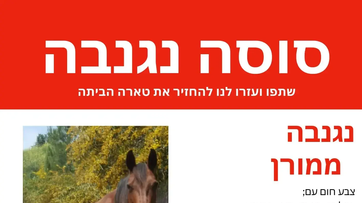 הסוסה טארה נגנבה מקיבוץ מורן