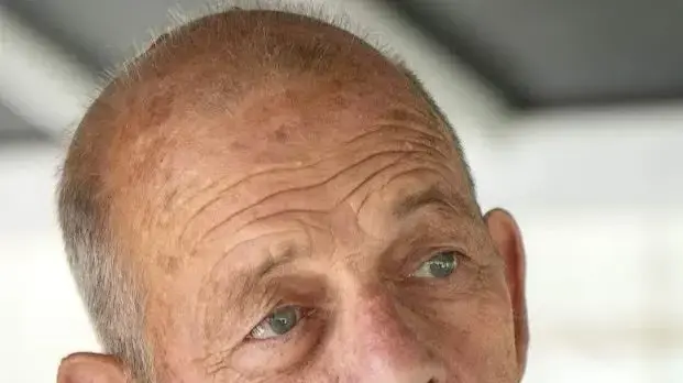 חיים פרי חיים פרי