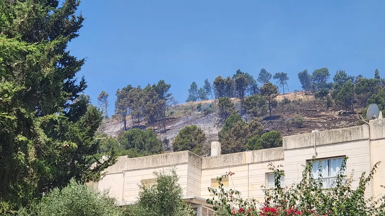 איליה שטריקמן בשטח הפתוח שנשרף מעל הבית שלו, קריית שמונה, 4 ביוני 2024 איליה שטריקמן בשטח הפתוח שנשרף מעל הבית שלו, קריית שמונה, 4 ביוני 2024