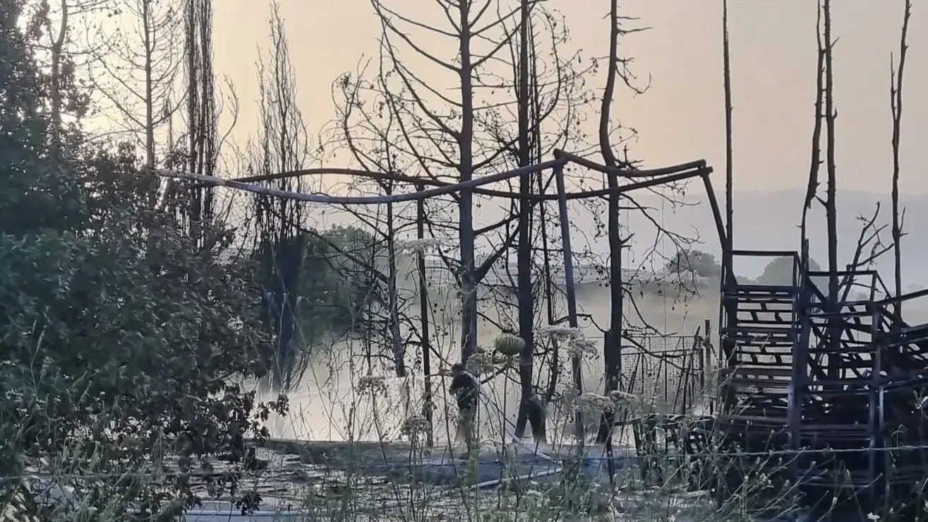 מטעים שרופים, מהשריפה בגליל שנוצרה מירי חיזבאללה מטעים שרופים, מהשריפה בגליל שנוצרה מירי חיזבאללה