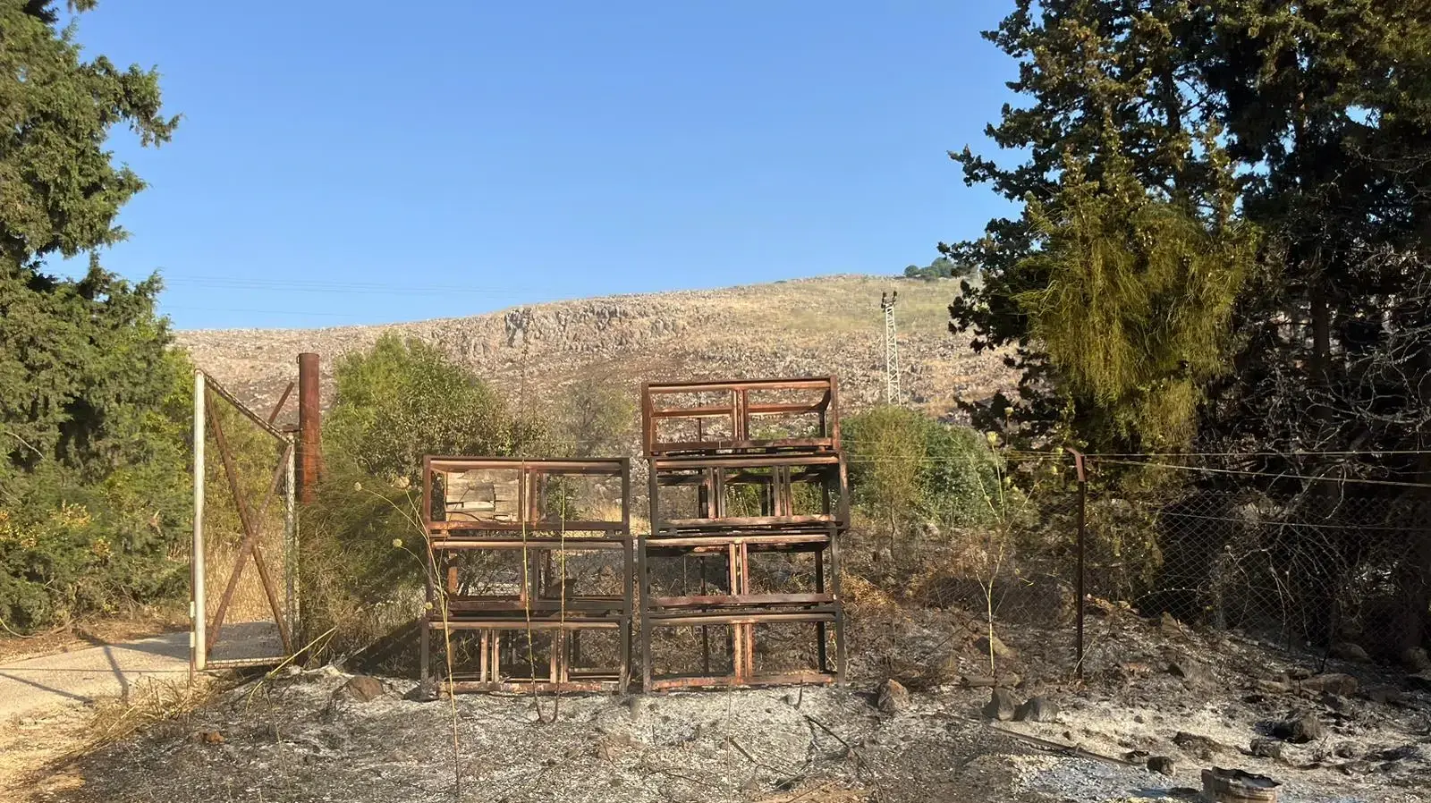 מטעים שרופים, מהשריפה בגליל שנוצרה מירי חיזבאללה מטעים שרופים, מהשריפה בגליל שנוצרה מירי חיזבאללה