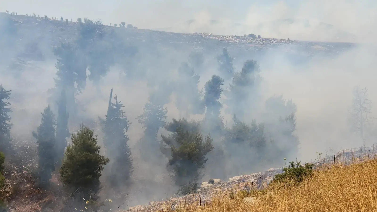 בעקבות מטח השיגורים - שריפות פרצו בשטחים מיוערים בצפון הארץ