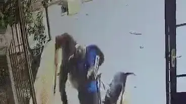 "נטען כי עובד תועד יוצא עם כלבו מהמסגד, אך לבסוף זוכה", 13 ביוני 2024 "נטען כי עובד תועד יוצא עם כלבו מהמסגד, אך לבסוף זוכה", 13 ביוני 2024