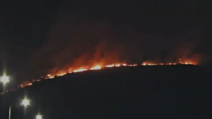 שריפה ביער ביריה שריפה ביער ביריה