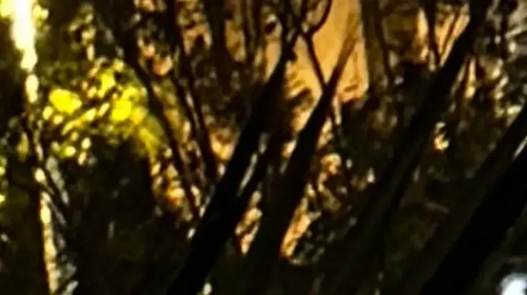 גנבים פרצו לאותו רכב בגבעתיים 3 פעמים בתוך יומיים, יוני 2024 גנבים פרצו לאותו רכב בגבעתיים 3 פעמים בתוך יומיים, יוני 2024