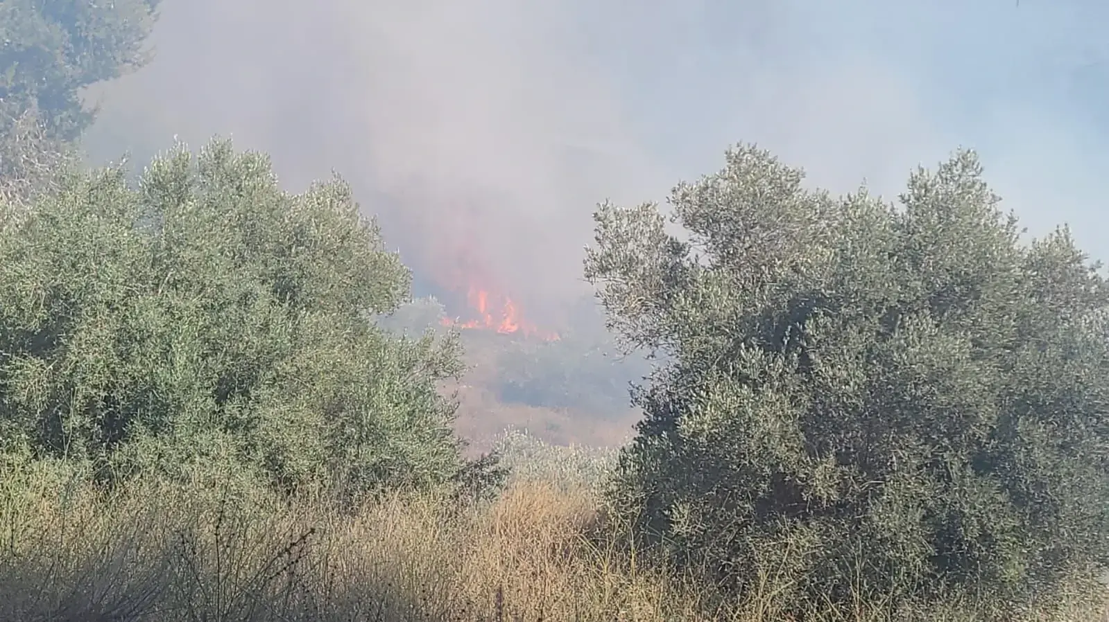 שריפה גדולה פרצה במחלף שורש בכביש 1 