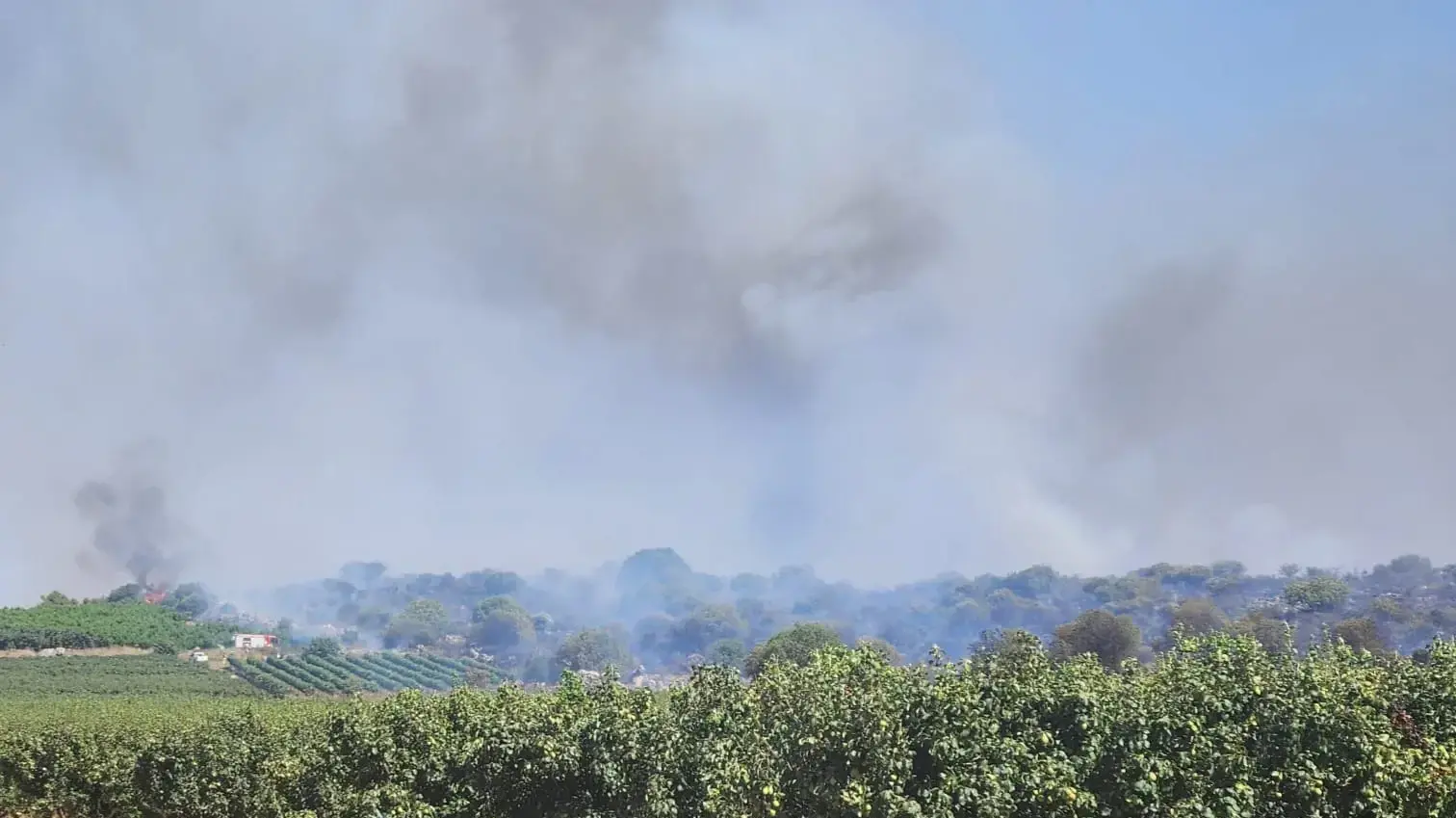 כרם שנשרף בעקבות התפוצצות כטב"ם, רמות נפתלי כרם שנשרף בעקבות התפוצצות כטב"ם, רמות נפתלי
