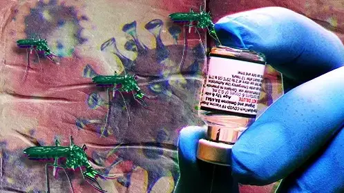חיסון, קדחת הנילוס המערבי חיסון, קדחת הנילוס המערבי