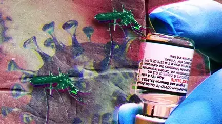 חיסון, קדחת הנילוס המערבי