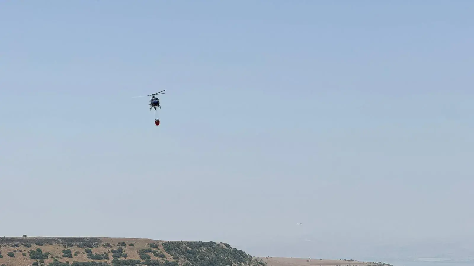 חילוץ והצלת נשרים בגמלא מהשריפה