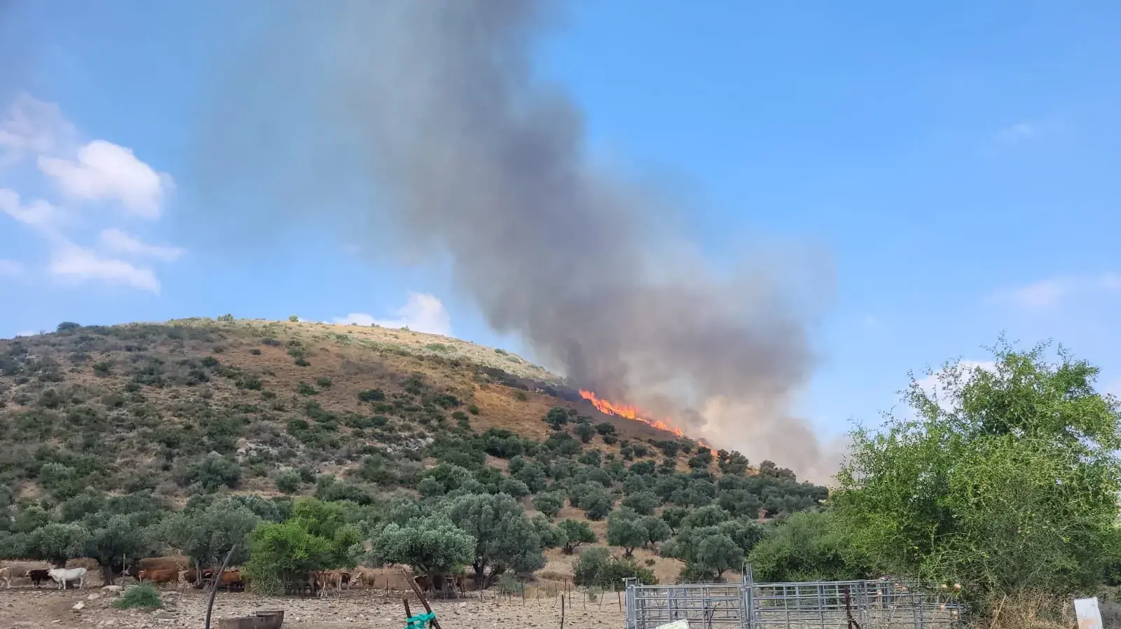 שריפה שפרצה בגן הלאומי ארבל כתוצאה מהמטח מלבנון שריפה שפרצה בגן הלאומי ארבל כתוצאה מהמטח מלבנון