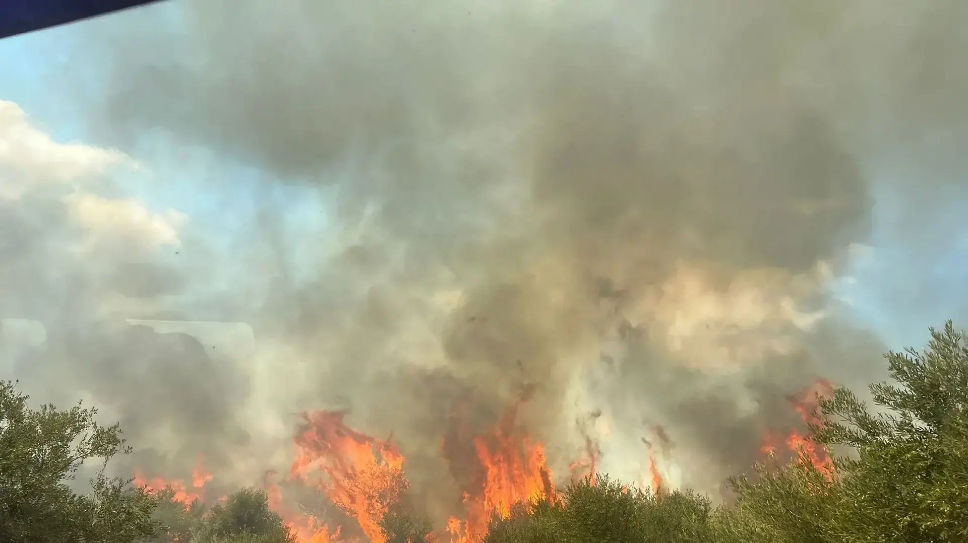 שריפות בגליל התחתון בעקבות הירי לאיזור, 7 ביולי 2024 שריפות בגליל התחתון בעקבות הירי לאיזור, 7 ביולי 2024