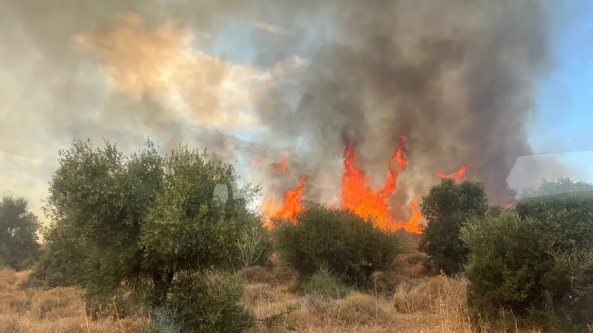 שריפות בגליל התחתון בעקבות הירי לאיזור, 7 ביולי 2024